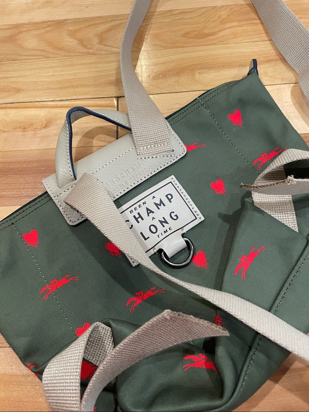 Longchamp Green Nylon Mini Backpack with Red Heart Print and Tan Flap - Picture 7 of 10